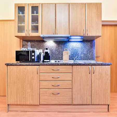 Apartman Anzio *